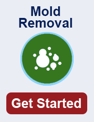 mold remediation in Germantown TN